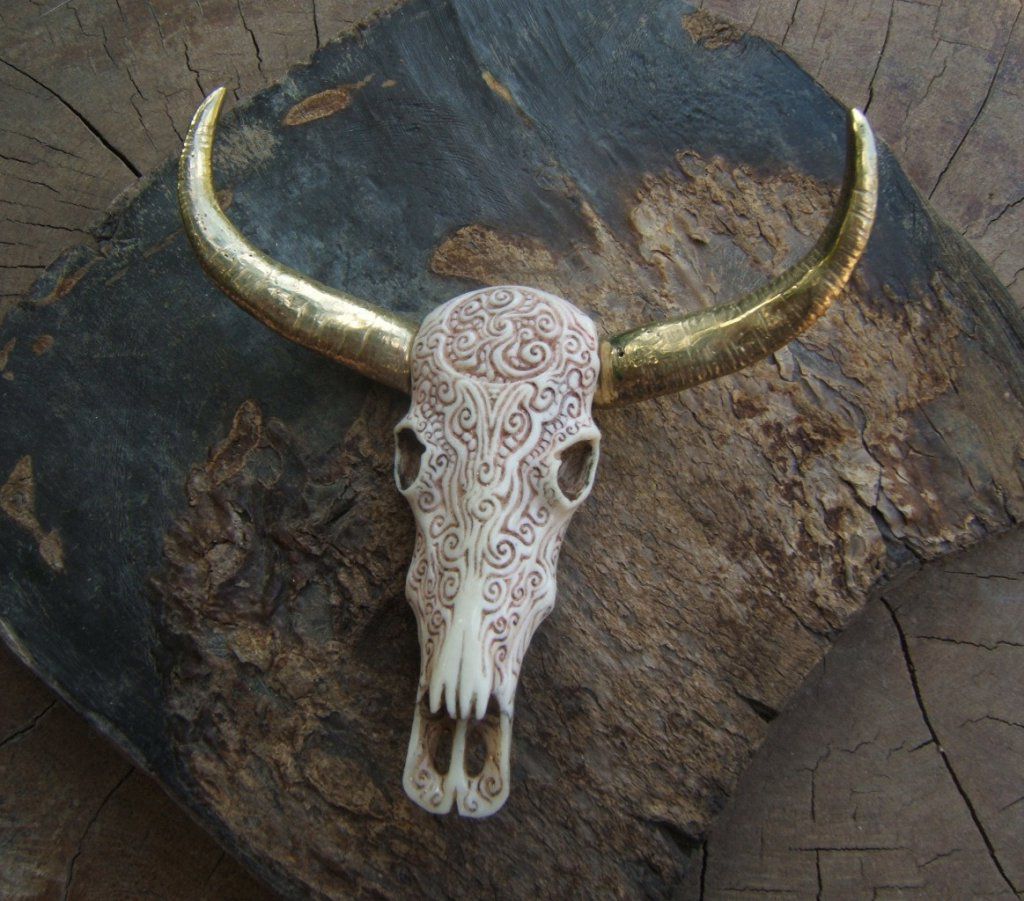Crâne de buffle en os sculpté,cornes en laiton